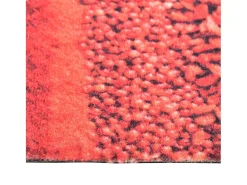 Alfombra de cocina lavable Spice 60x300 cm ES158387