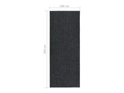 Alfombra de pasillo atrapa suciedad 100x250 cm gris antracita
