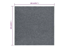 Alfombra felpudo atrapasuciedad gris 100x100 cm