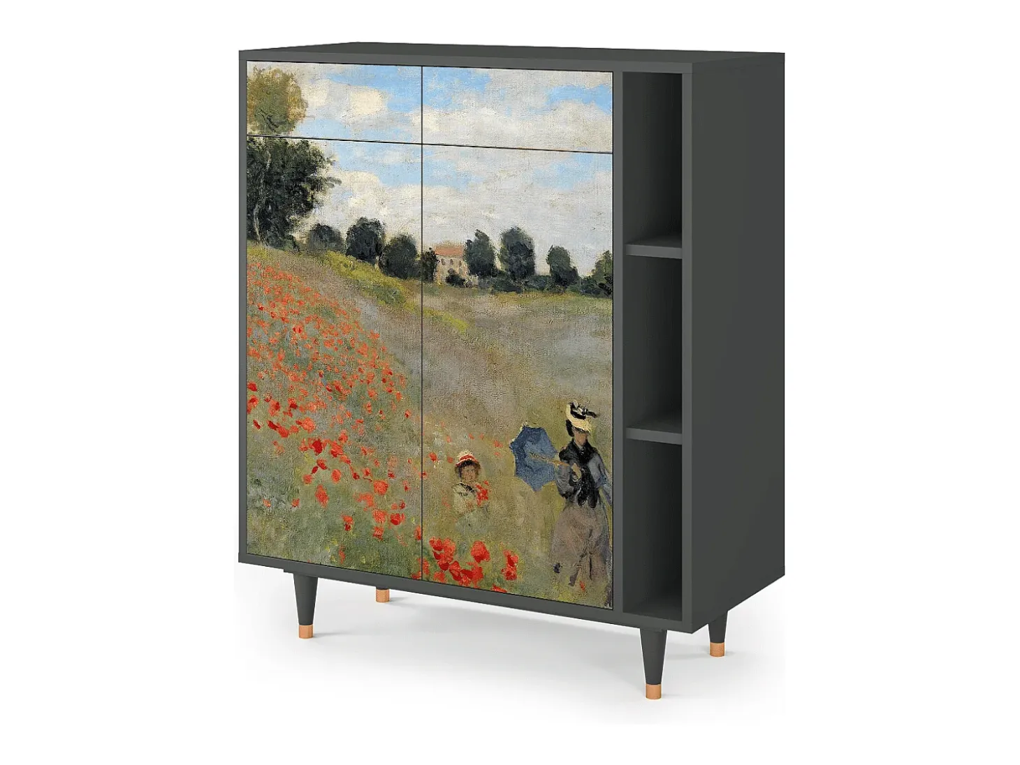 Aparador - 96х110х41 cm - BS6 - The Poppy Field , Antracita