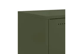 Aparador buffet cómoda armario mueble organizador cocina salón salón oliva 68,5 x 39 x 72 cm verde acero 02_0036588