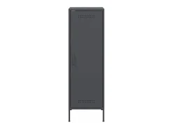Aparador buffet cómoda armario mueble organizador cocina salón salón alto 36 x 39 x 113 cm acero antracita 02_0032200