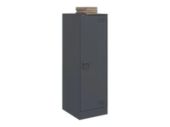 Aparador de acero gris antracita 34,5x39x107 cm ES779205