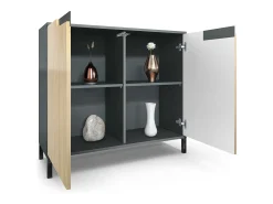Aparador Sylt V3, Armario de Cocina Moderno con 2 Puertas Grandes antracita mate / gris claro satinado (92,5 x 83.5 x 35)