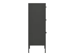 Armario de almacenamiento acero antracita 42,5x35x101,5 cm ES354703