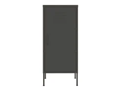 Armario de almacenamiento acero antracita 42,5x35x101,5 cm ES865570