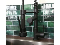 Big Pro Mezclador de fregadero con rociador móvil negro Essebagno