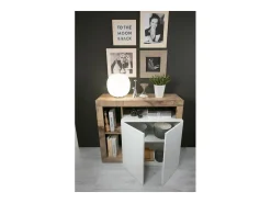 Buffet 2 puertas colección BURA, color blanco lacado brillante y roble claro
