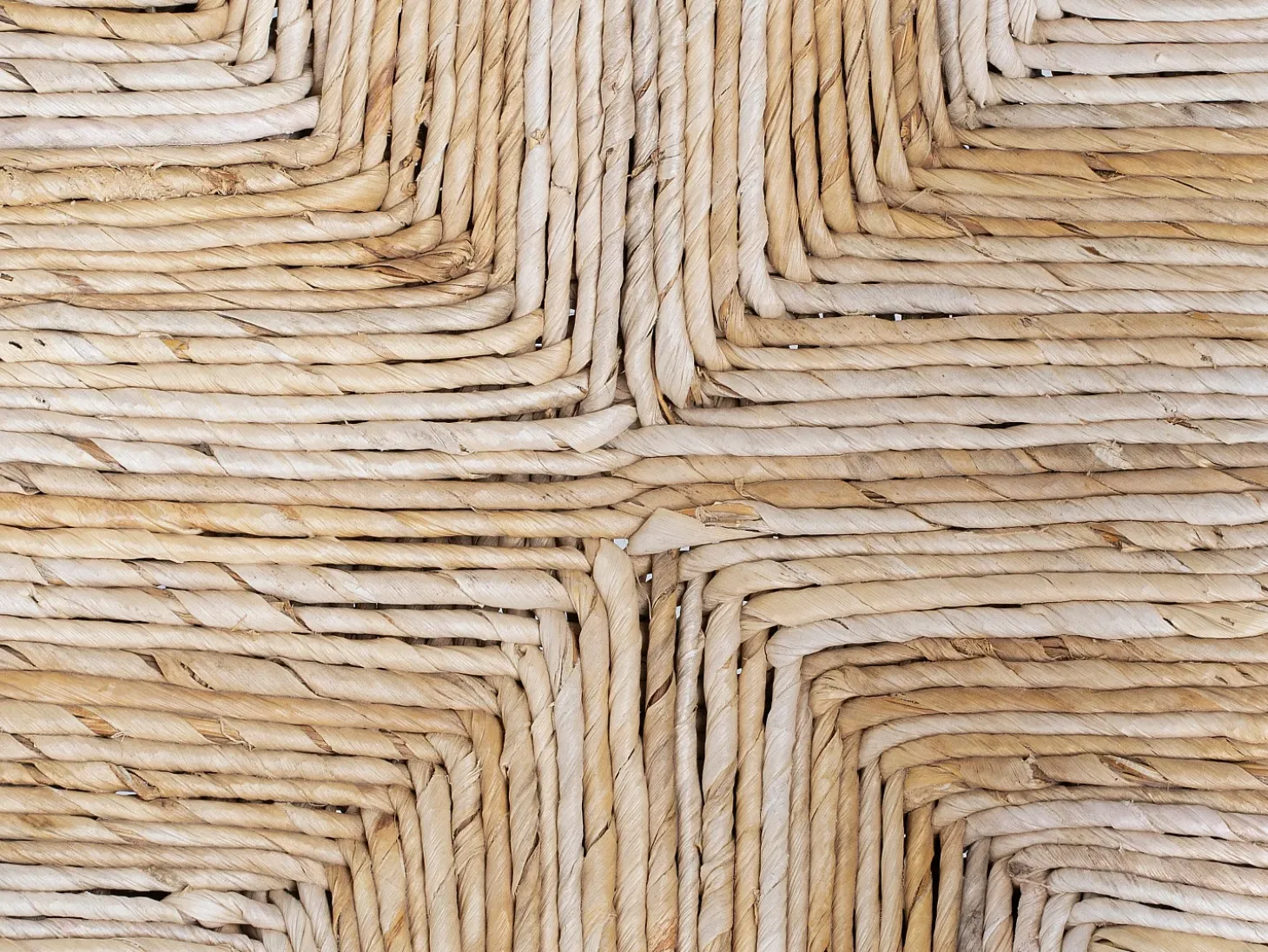 Conjunto de 6 sillas con reposabrazos de teca - Natural claro - JUNARIA