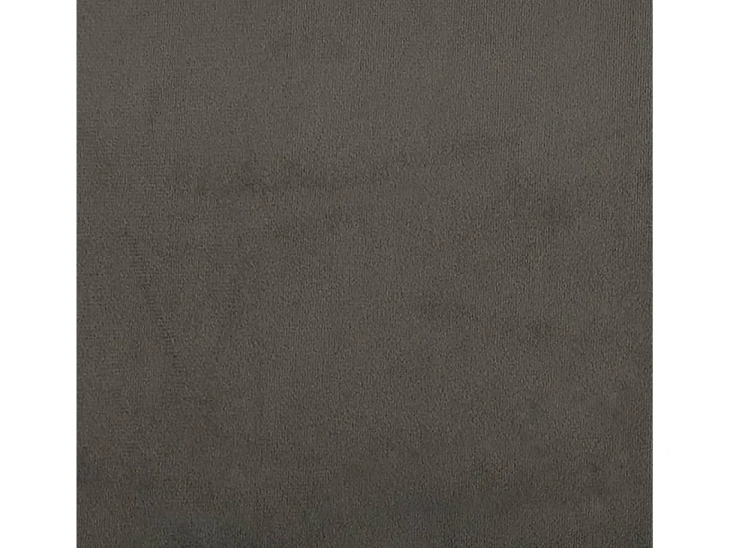 Dalira Sillas de comedor 2 unidades terciopelo gris oscuro