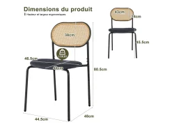 Juego de 2 sillas de comedor tapizadas con respaldo de ratán, estructura de metal, color negro