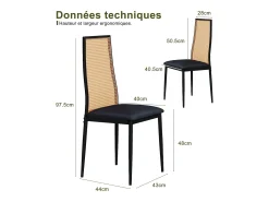 Juego de 2 sillas de comedor de ratán acolchado sin reposabrazos y con patas de metal, color negro