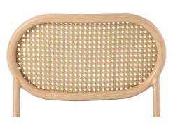 Juego de 4 sillas en PU y ratán - Patas de metal - Ergonómicas - Carga máxima 150 kg - 46×48×80 cm - Negro