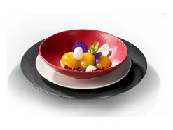 Lote de 6 Platos Llanos Stone Rojo 27 cm - Colección Médard de Noblat