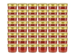 Louis-Francis-René Tarros de mermelada de vidrio tapa dorada 48 uds 110 ml