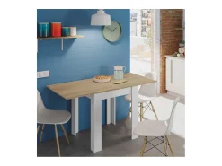 Mesa Extensible Rocky