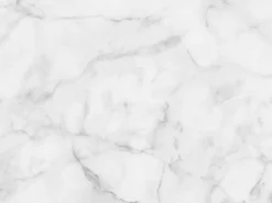Mesa tulipán ovalada de mármol blanco con base brillante 160 cm-Bandeja Mármol verde alpi-Anchura 180 cm-Color de los pies Negro brillante