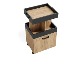 Mueble con ruedas roble dorado 50x41x88.6