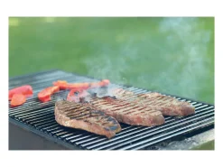 Parrilla barbacoa con doble asa tamaño 60x40cm en acero inoxidable ECD Germany
