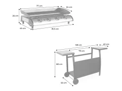 Plancha de gas 4 quemadores de acero inoxidable con carrito y