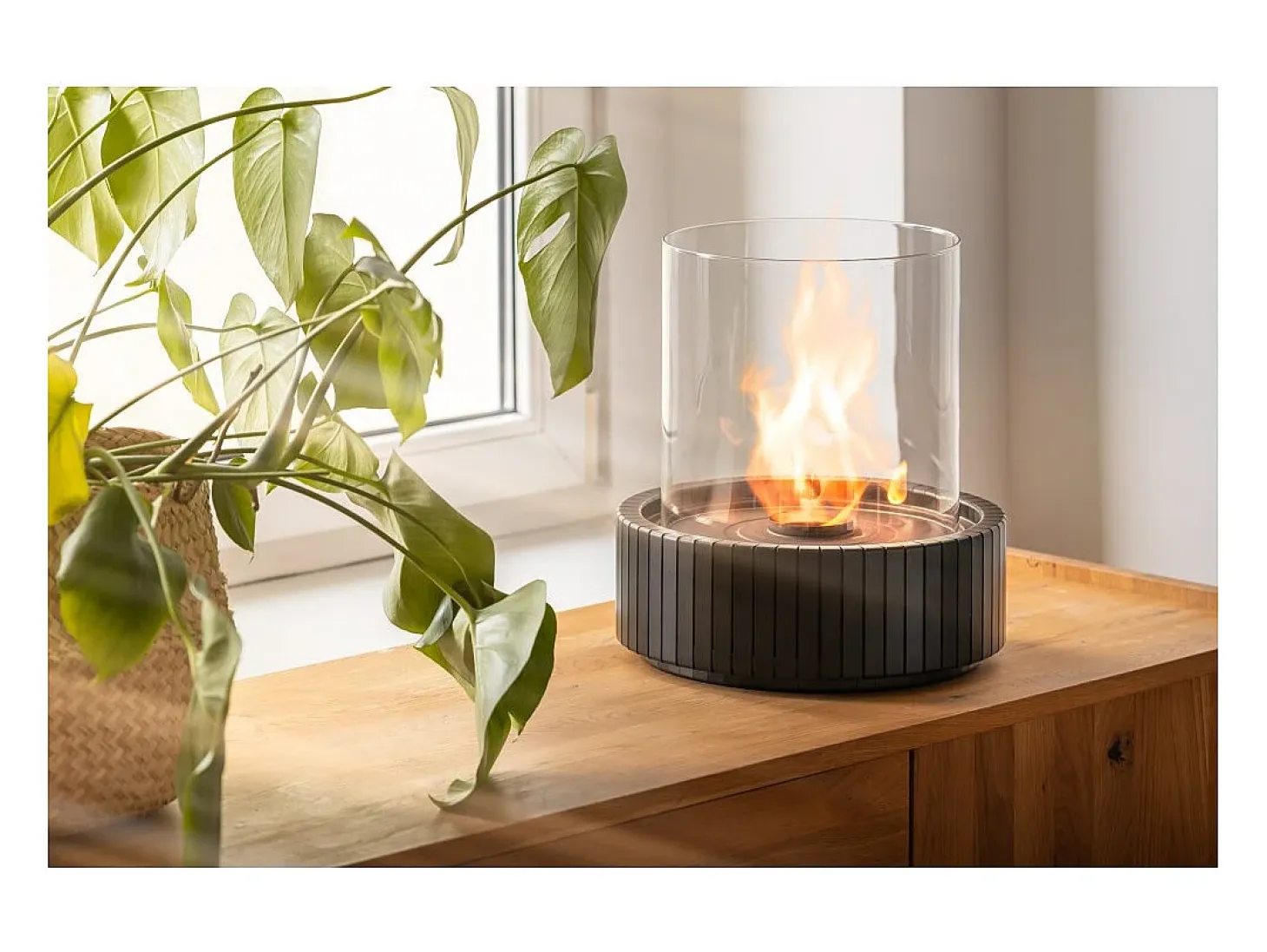 Planika - Chimenea portátil de bioetanol de sobremesa Lotus con tecnología Commerce, vidrio cilíndrico