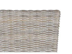 Set de 2 sillas en rattan con cojin incluido