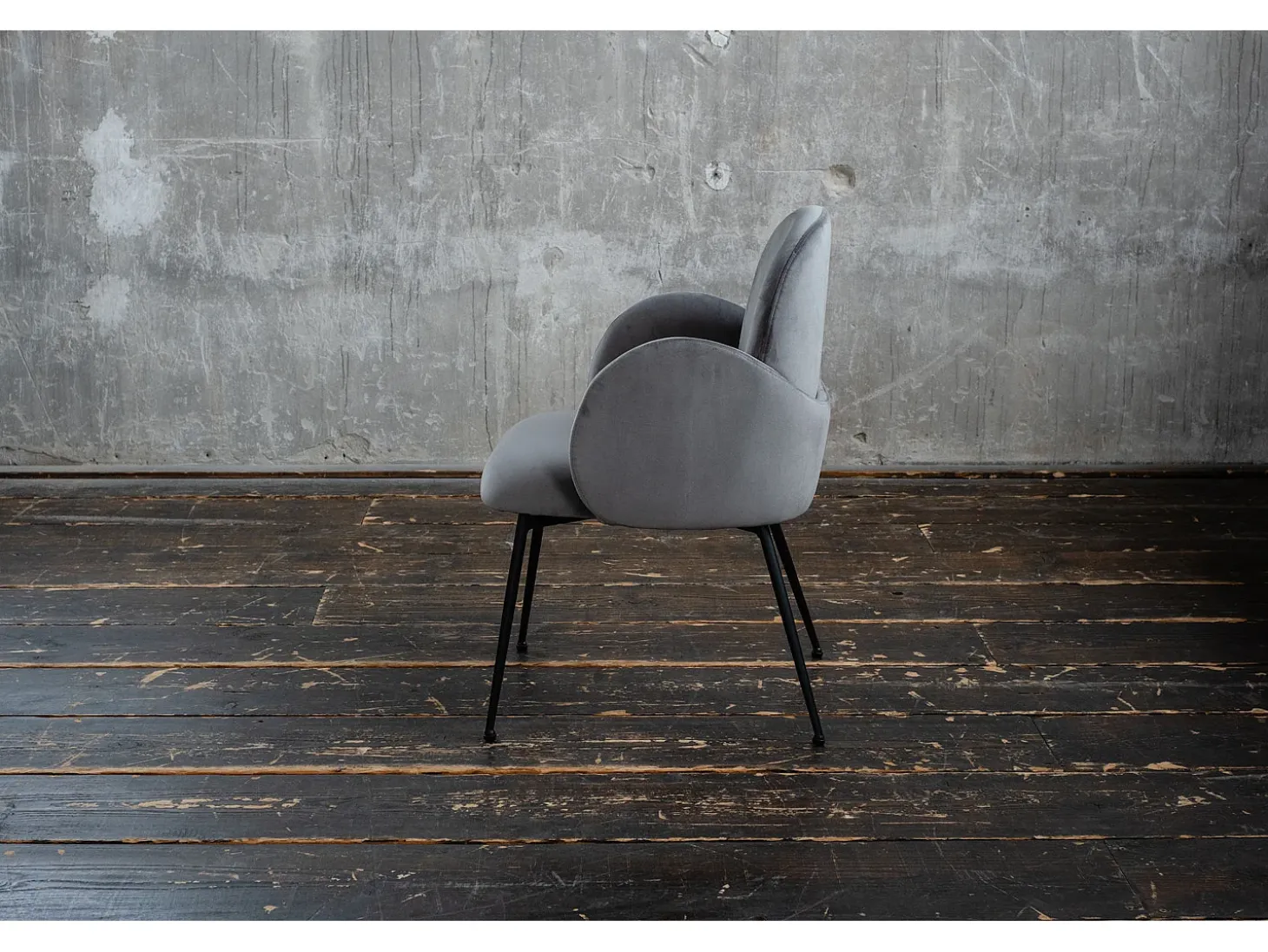 Silla - Gris terciopelo - DEON
