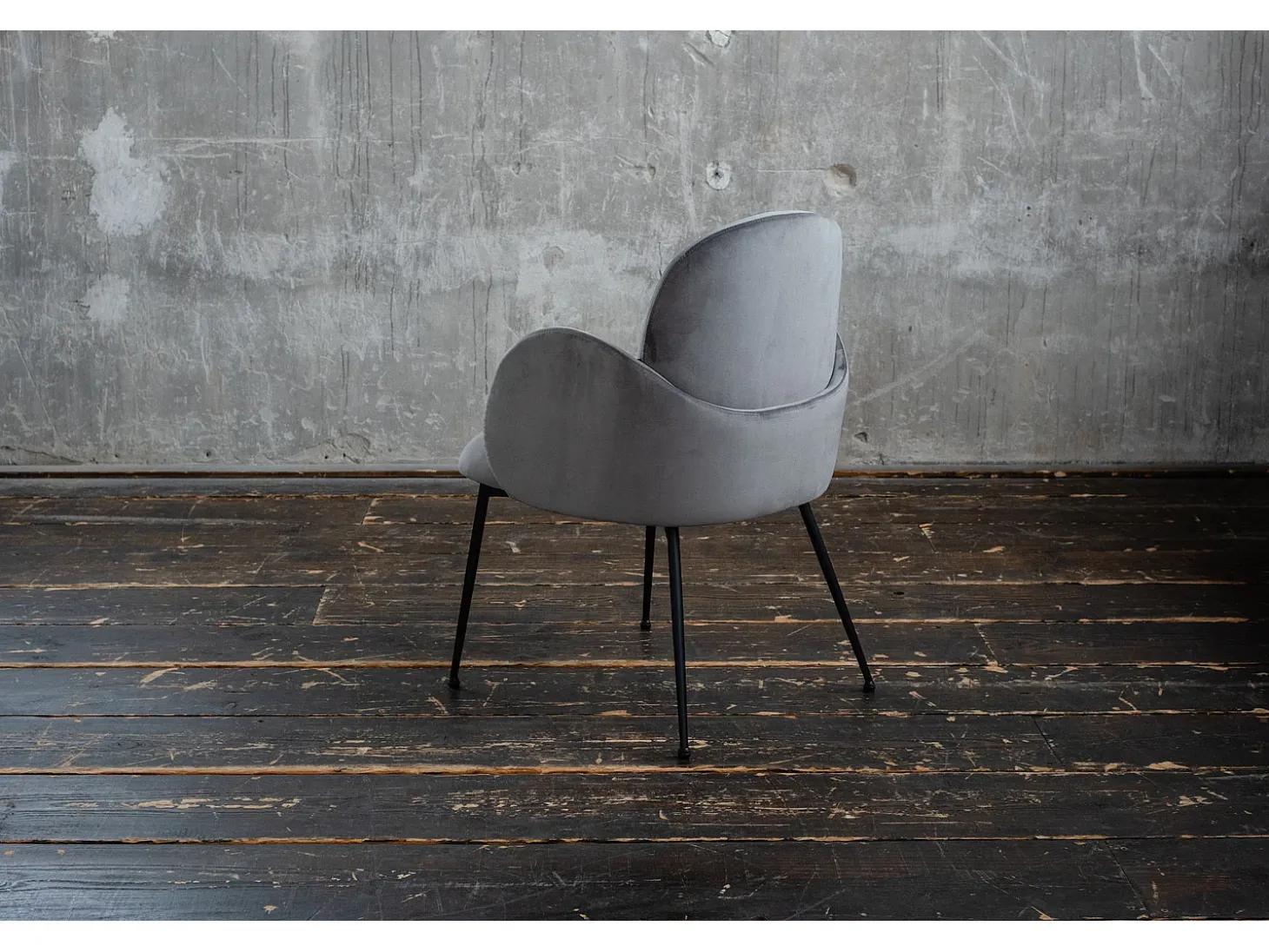 Silla - Gris terciopelo - DEON