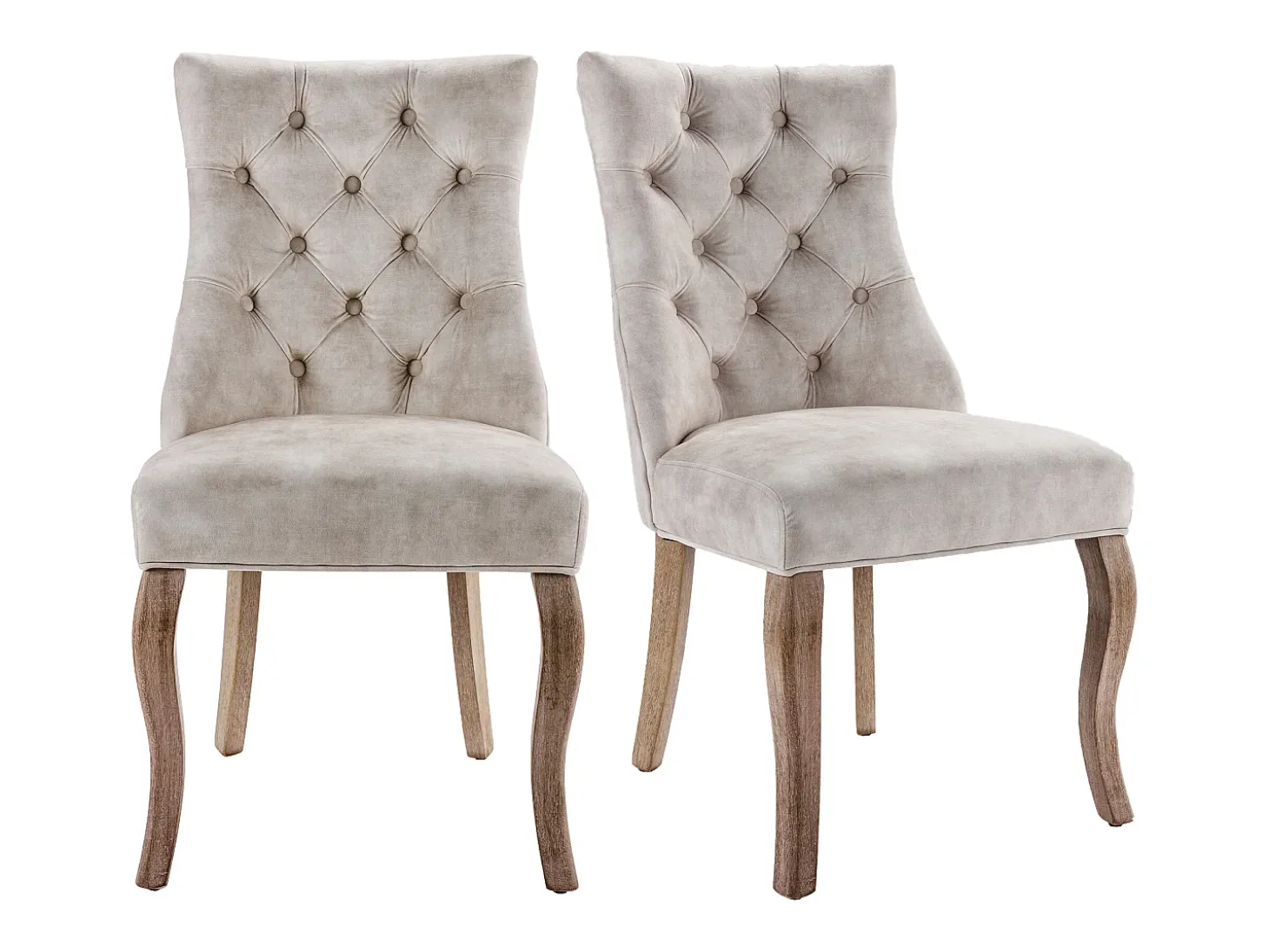 Silla de comedor de terciopelo beige, respaldo alto, botones, patas de madera maciza (51 x 57 x 100 cm)