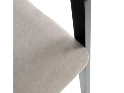 Silla de diseño con estructura de madera maciza negra y OCTANT de terciopelo gris