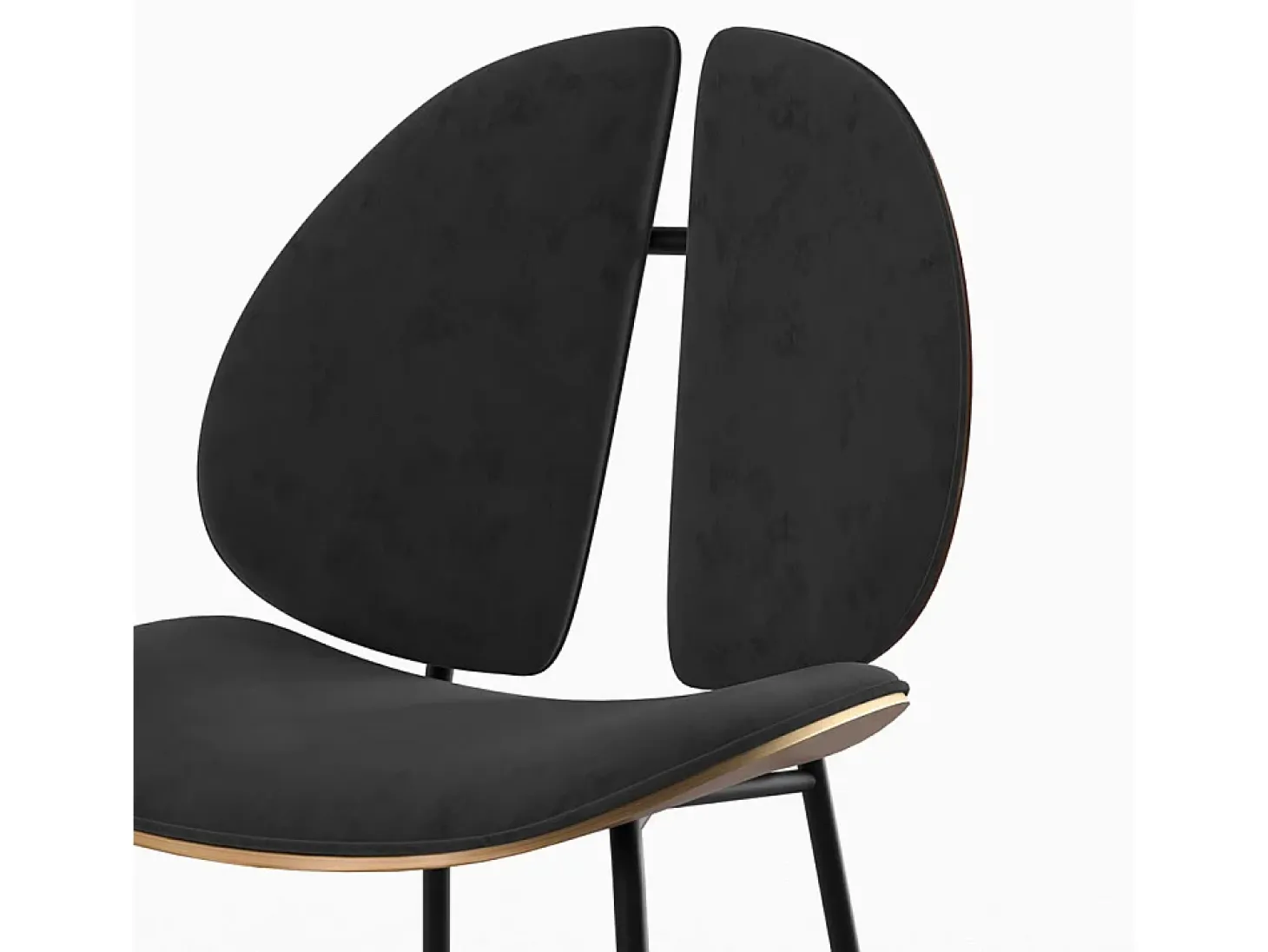 Silla en terciopelo negro y madera de nogal - Coccinelle