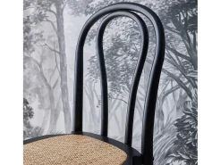 Silla vintage de madera y ratán, set de 2 negro