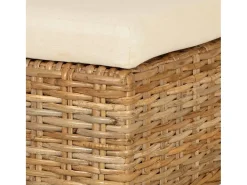 Sillas de comedor 2 unidades ratán kubu madera de mango
