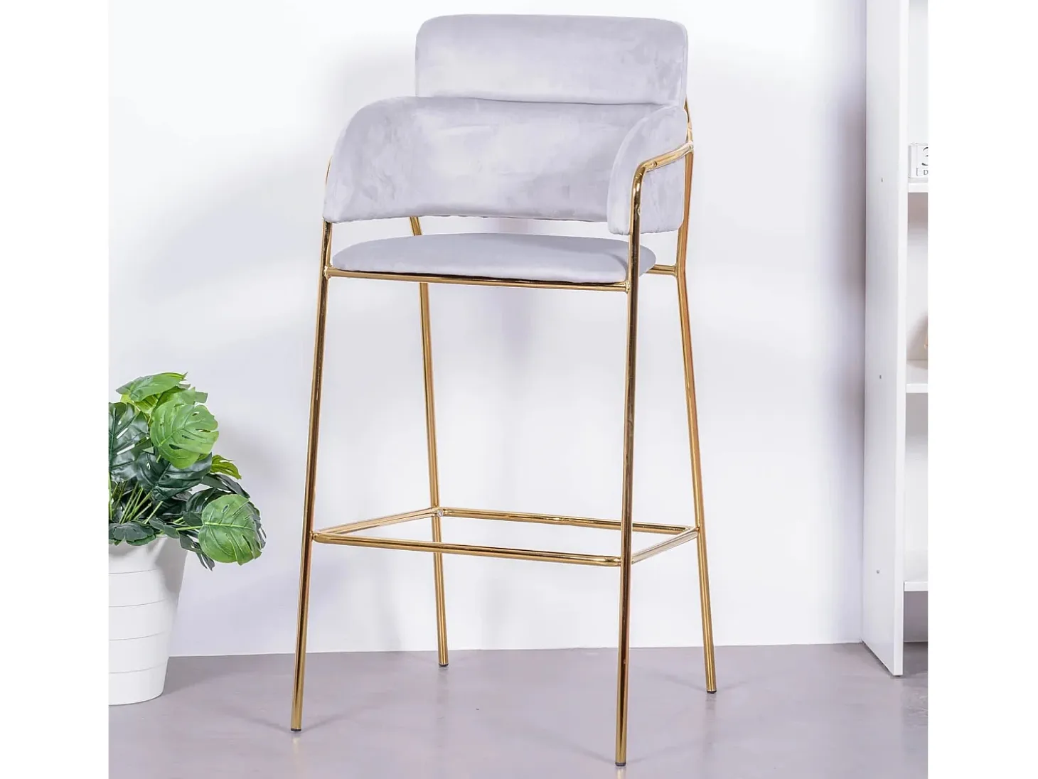 Taburete de diseño tapizado en terciopelo y patas doradas - Cruiser - Gris