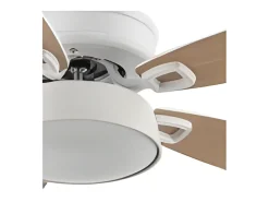 Ventilador Dc Braw Blanco Led 5 Aspas Y Control Remoto