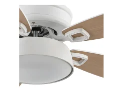 Ventilador Dc Braw Blanco Led 5 Aspas Y Control Remoto