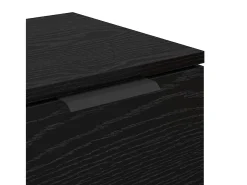 Vitrina Roble negro 60 x 30 x 70 cm Madera contrachapada