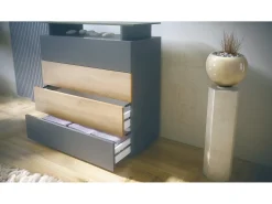 Vladon Cajonera Pavos V2, Cómoda con 4 Cajones y estante de cristal, antracita mate/antracita mate (76 x 81 x 35 cm)